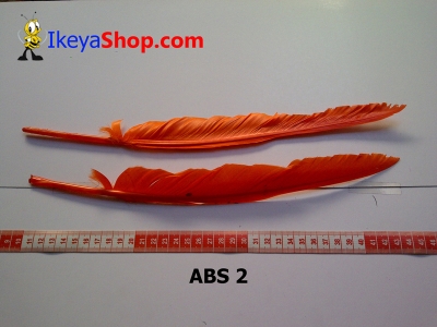 bulu angsa besar ABS 2   feather  large2